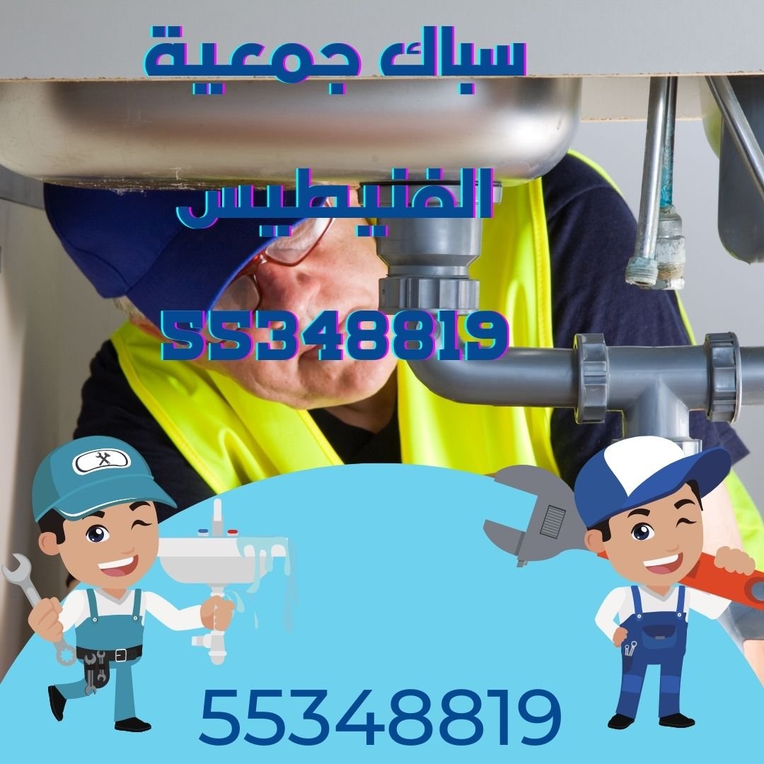 سباك جمعية الفنيطيس